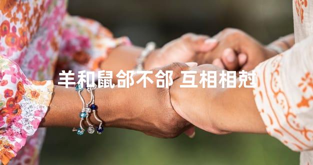 羊和鼠郃不郃 互相相尅